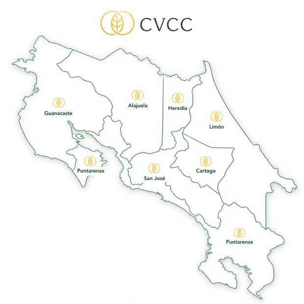 Map of Costa Rica showing the seven provinces served by Cura Vida Cannabis Clinics: San José, Alajuela, Cartago, Heredia, Guanacaste, Puntarenas and Limón