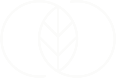Cura Vida Cannabis Clinics